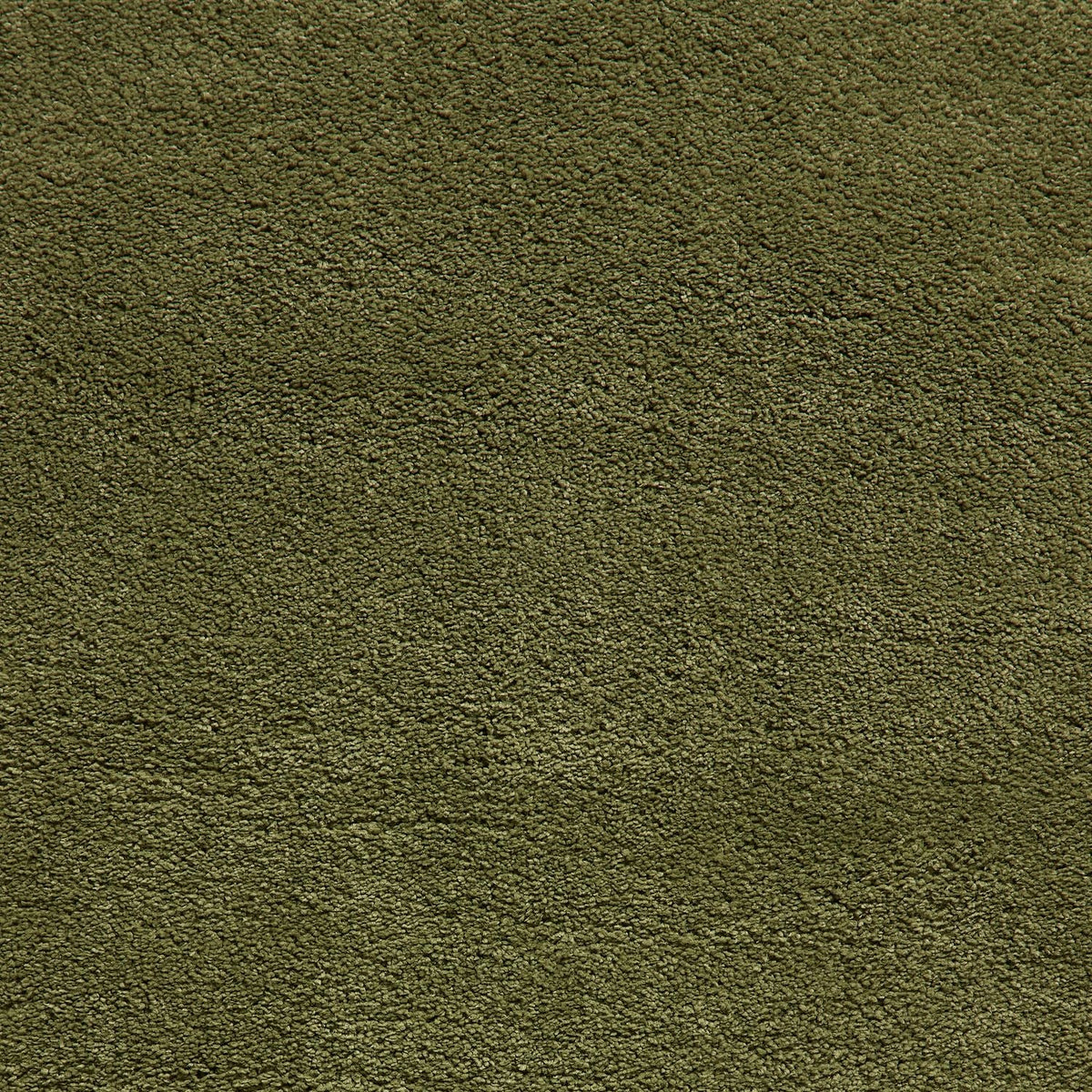 Roswell Stain Resistant Shaggy Rug