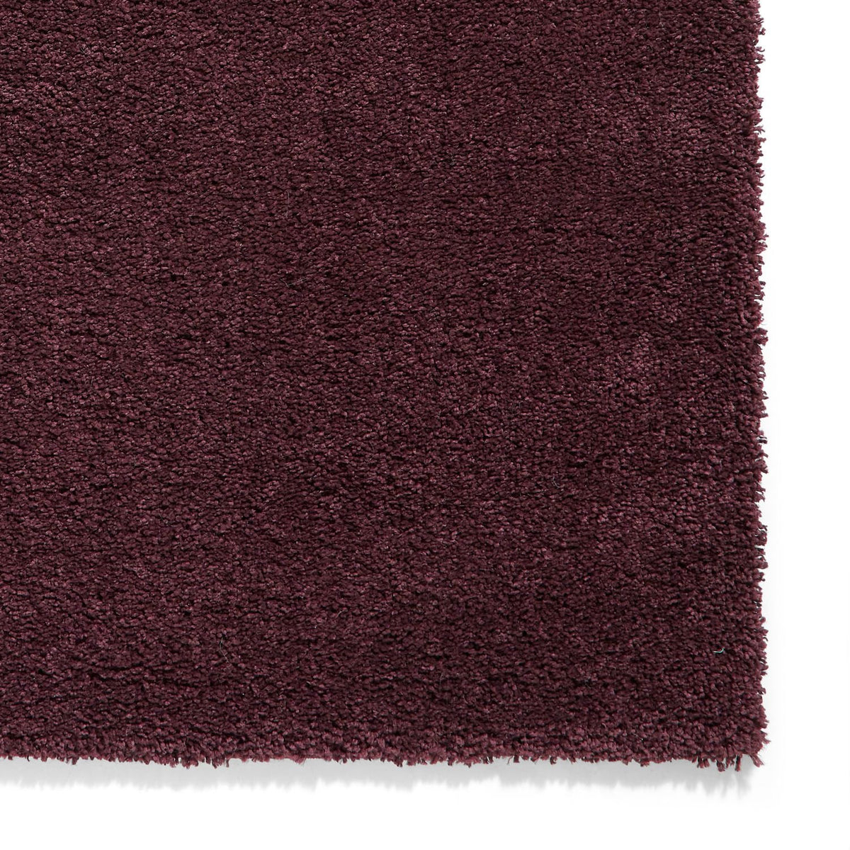 Roswell Stain Resistant Shaggy Rug