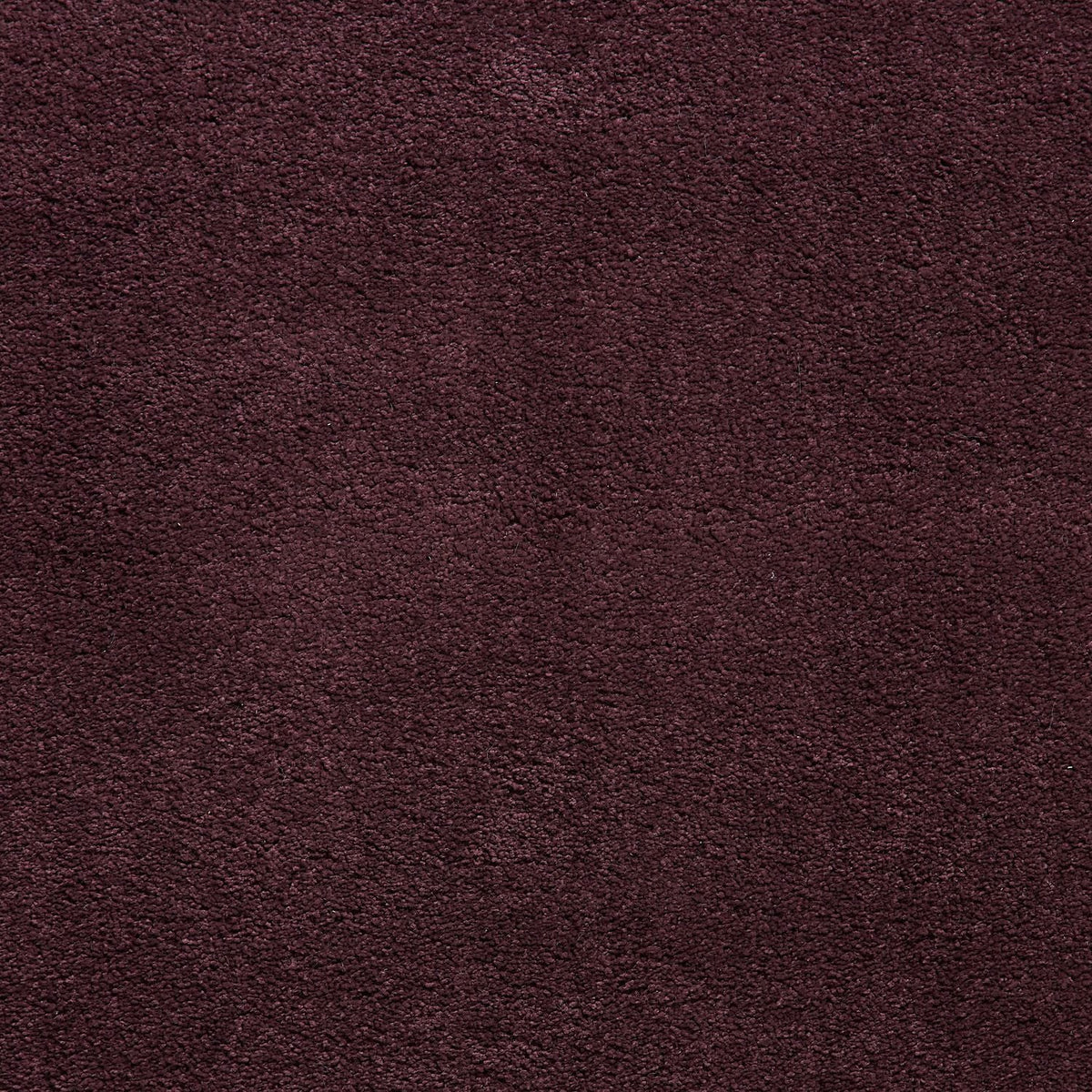 Roswell Stain Resistant Shaggy Rug