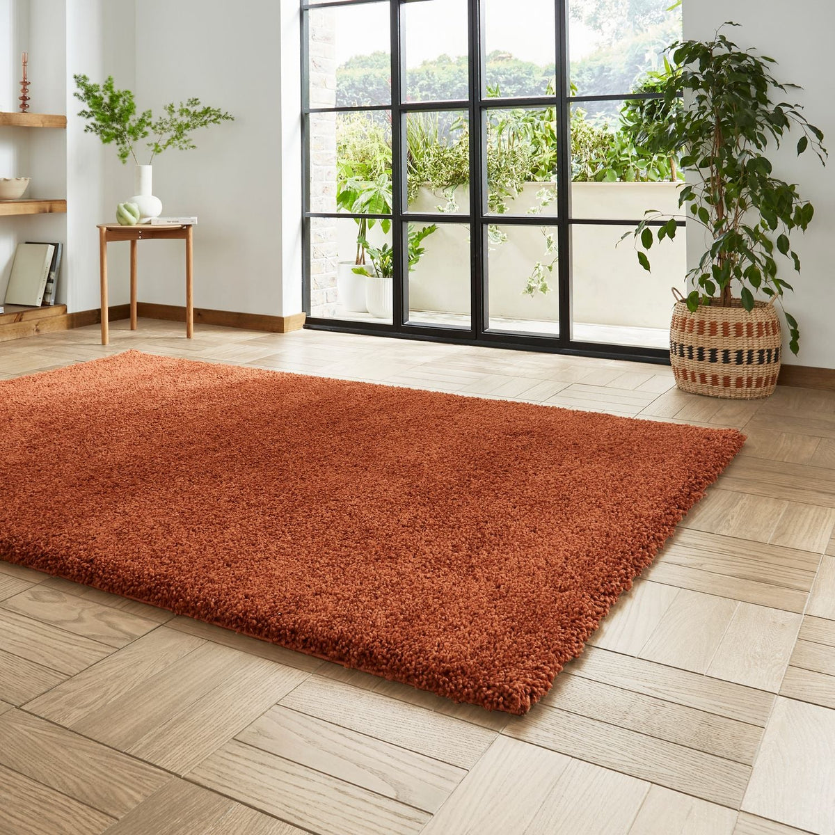 Roswell Stain Resistant Shaggy Rug
