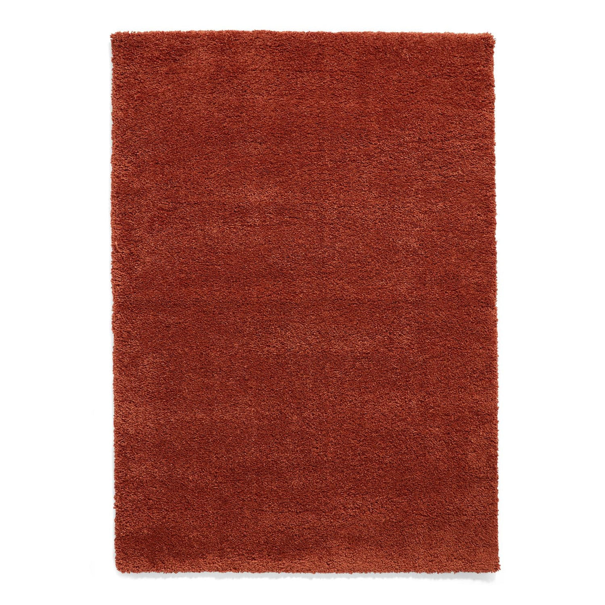 Roswell Stain Resistant Shaggy Rug