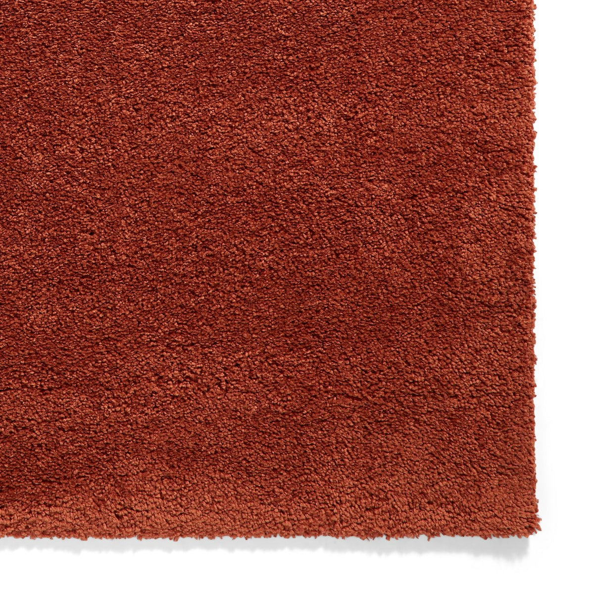Roswell Stain Resistant Shaggy Rug