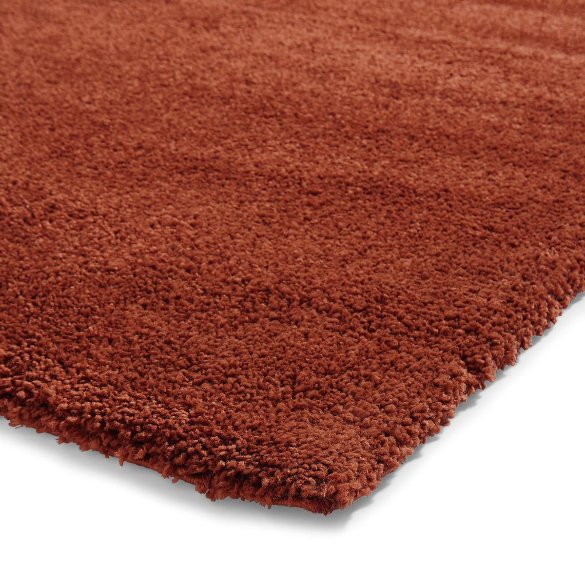 Roswell Stain Resistant Shaggy Rug