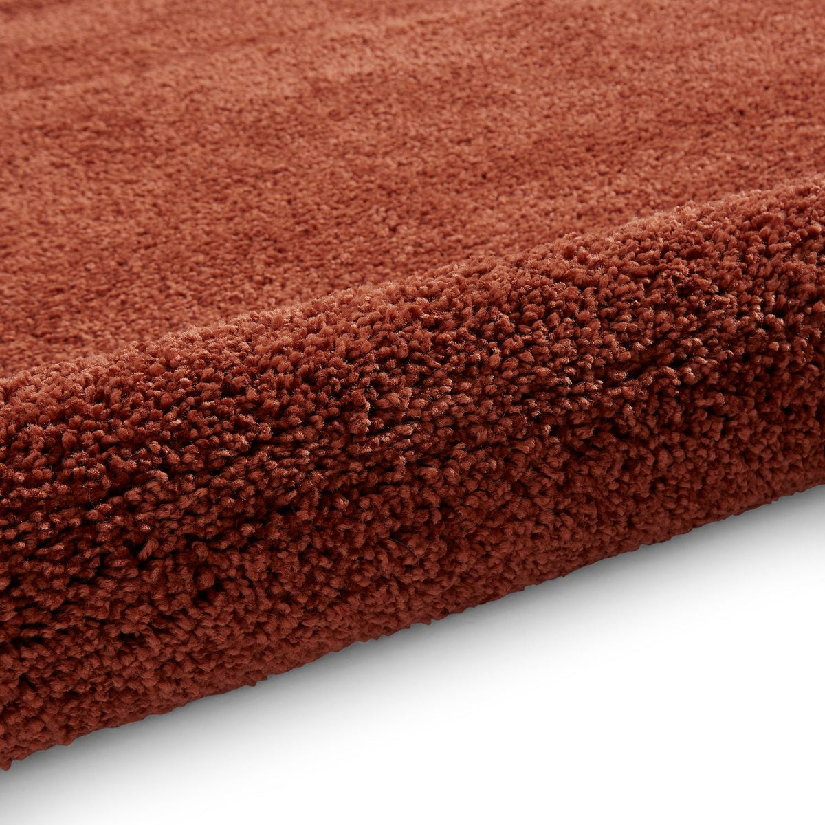 Roswell Stain Resistant Shaggy Rug