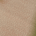 Whitewash Oak Swatch