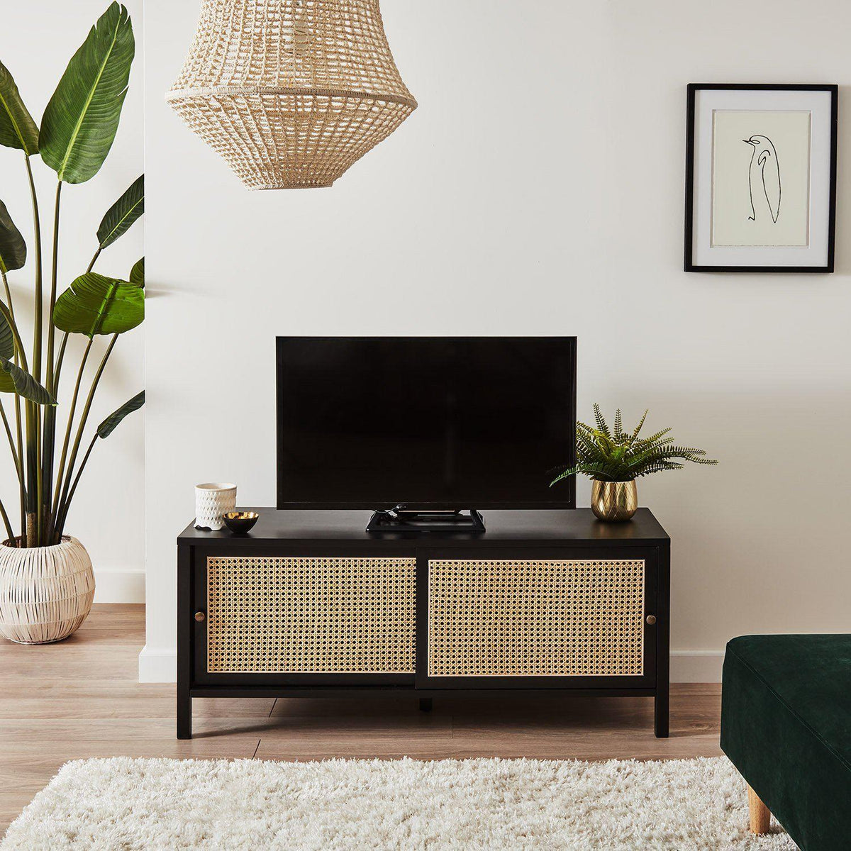 Charlie Cane & Black TV Unit