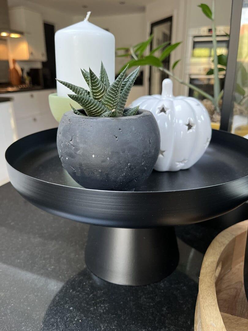 Boswell 28cm Tray - Black Metal