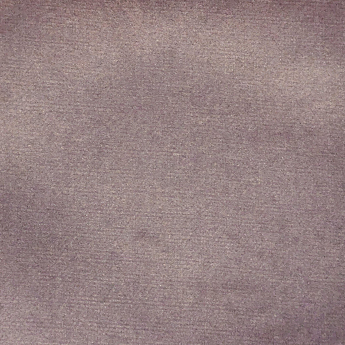 Soft Velvet Dusty Rose Swatch