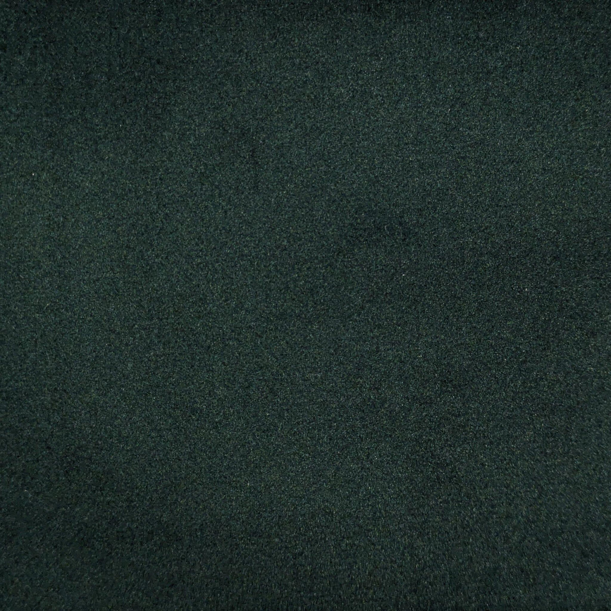 Soft Velvet Forest Green Swatch