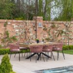 Amelia 8 Seater Wooden Garden Dining Set with 8 Hali Pink Chairs - White Acacia with Black Legs