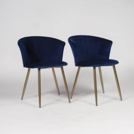 Outlet - Cleo Dining Chairs - Set of 2 - Blue & Gold