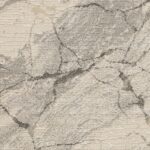 Taylor Marbled Short Pile Rug - Image 6