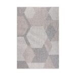 Vernell Flat and Loop Design Tassled Rug