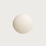 Dioscuri Wall/Ceiling Light