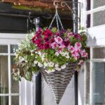 14 Inch Rattan Effect Hanging Basket Pre-Lined Slate Planter