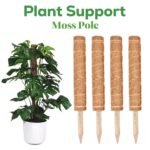 4pc Coir Moss Pole Plant Supports Stackable Fibre Stakes 16cm - Image 4