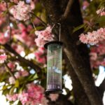 23cm Metal Hanging Nut Bird Feeder for Peanuts Seeds and Suet