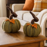 2 Pack Medium Handcrafted Plush Pumpkin Autumn Decorations