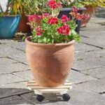 Woodland Pot Caddy 30 cm - Pack of 4