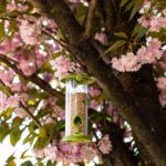 20cm Twist Top Outdoor Hanging Bird Feeder - Seed Feeder