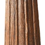 Fluted Teak Pillar Candlestick - 19th Century - Image 3