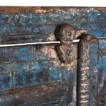 Carved Window Shutter From Nagaur - 19th Century - Image 6