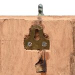 Brass Peacock Coat Hook on Painted Teak Base -19thC - Image 5
