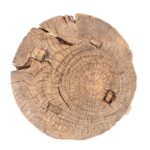 Rustic Elm Farmhouse Stool - 19th Century - Image 2