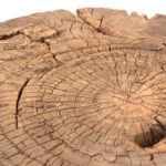 Rustic Elm Farmhouse Stool - 19th Century - Image 4