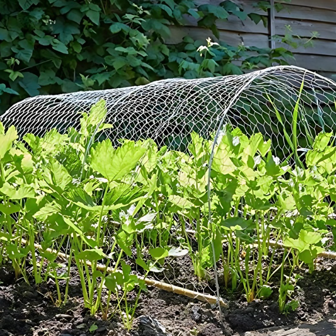 Screenshot2025-05-26140646 Garden Wire Netting Mesh Galvanised Panel Fencing - Image 1