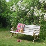 Cast Iron And Slatted Teak Bench - Ca 1900