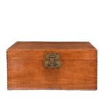 Chinese Camphor Trunk from Tianjin - 19thC