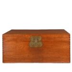 Chinese Camphor Trunk from Tianjin - 19thC