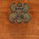 Chinese Camphor Trunk from Tianjin - 19thC - Image 3
