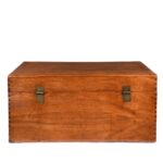 Chinese Camphor Trunk from Tianjin - 19thC - Image 7