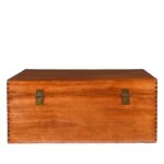 Chinese Camphor Trunk from Tianjin - 19thC - Image 9
