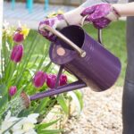 Violet Purple Watering Can - 4.5L - Image 2