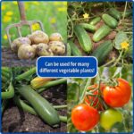 Tomato Feed Concentrate 1L High Potassium Liquid Fertiliser - Image 6
