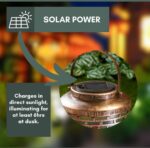 Dragonfly Solar Hanging Lantern with LED Garden Light - Image 4