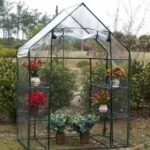 Large Walk In Greenhouse With Double Shelves