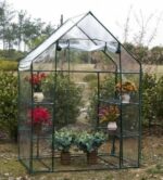 Large Walk In Greenhouse With Double Shelves