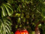 Solar Hot Air Balloon Hanging Lantern with Cool Flame Effect - Image 5
