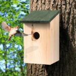 Wooden Bird Nesting Boxes x8 - Image 4