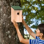 Wooden Bird Nesting Boxes x8 - Image 5