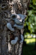 Peeking Koala Tree Hugger Resin Garden Ornament Outdoor Decoration - Image 6