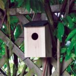 4 Pack Wooden Bird Nesting Boxes for Small Garden Birds 21cm - Image 9