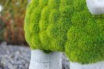 Stone & Grass Effect Sheep Garden Ornament Resin Statue 35cm - Image 6