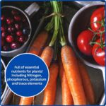 Tomato Feed Concentrate 1L High Potassium Liquid Fertiliser - Image 5